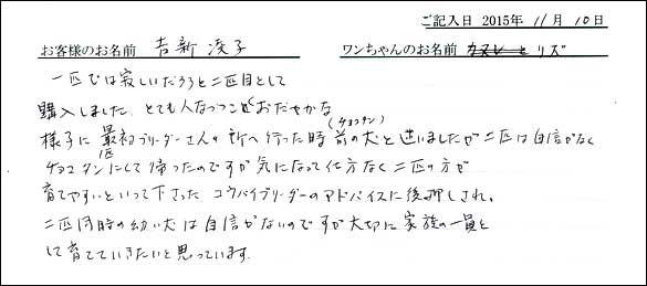 子犬お客様の声