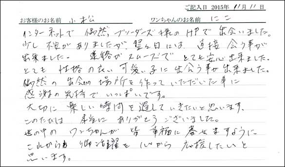 子犬お客様の声