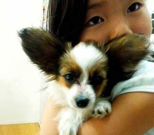 子犬写真
