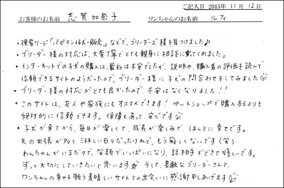 子犬お客様の声