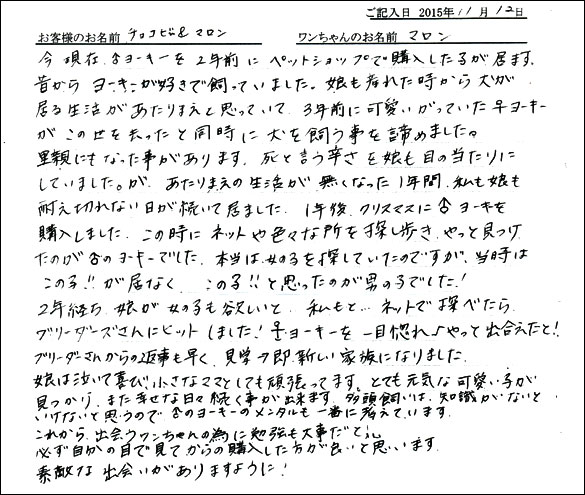 子犬お客様の声