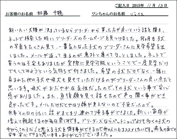 子犬お客様の声