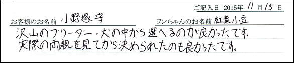 子犬お客様の声