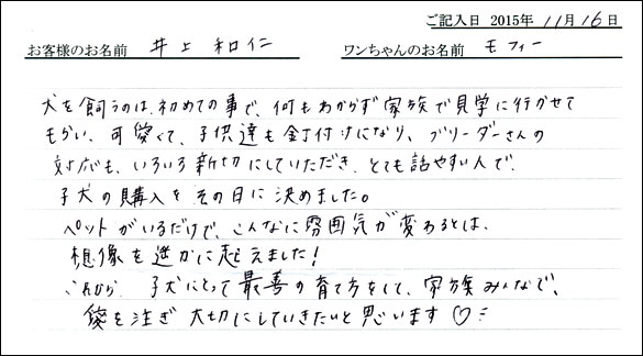 子犬お客様の声