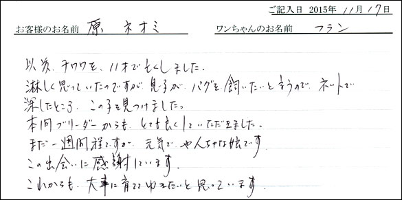 子犬お客様の声