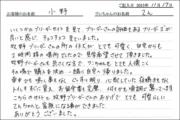 子犬お客様の声
