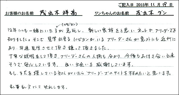 子犬お客様の声