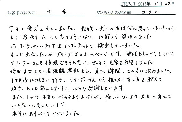 子犬お客様の声