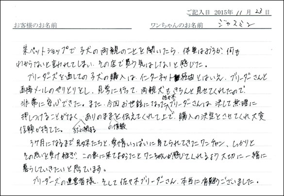 子犬お客様の声
