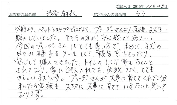 子犬お客様の声