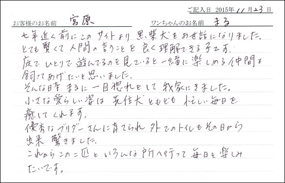 子犬お客様の声