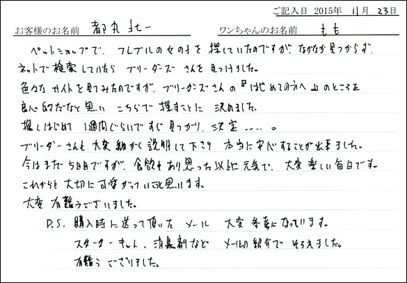 子犬お客様の声