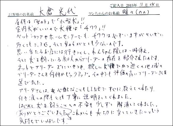 子犬お客様の声