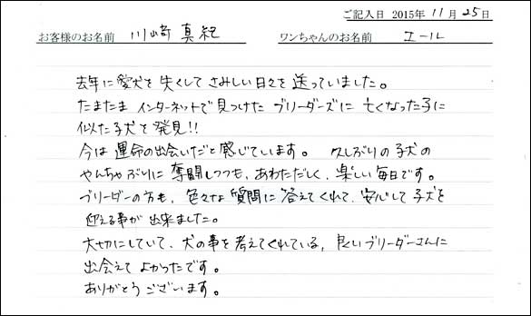 子犬お客様の声
