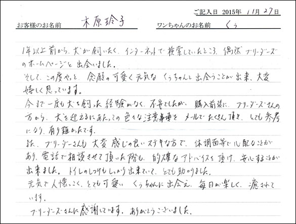 子犬お客様の声