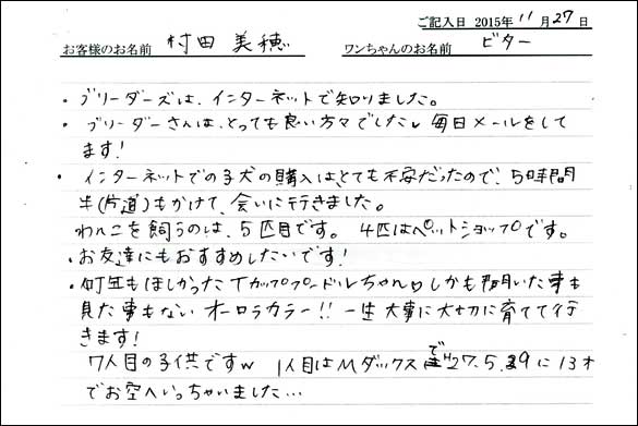 子犬お客様の声