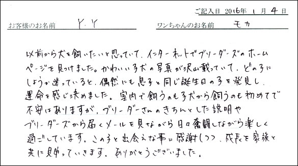 コッカーお客様の声
