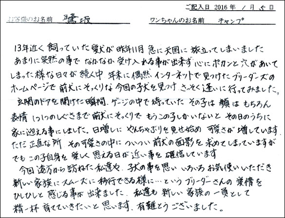 コッカーお客様の声