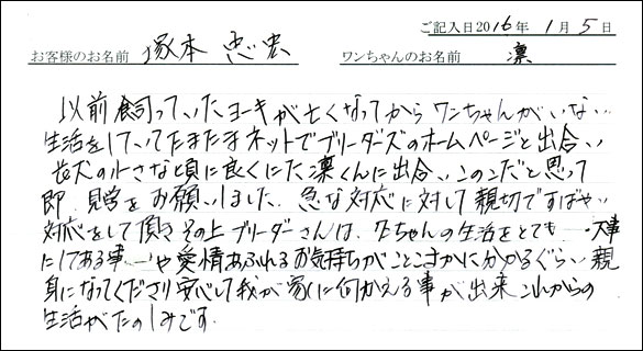コッカーお客様の声