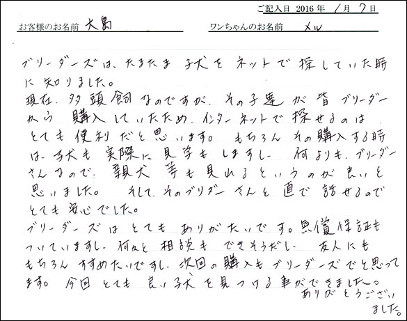 コッカーお客様の声