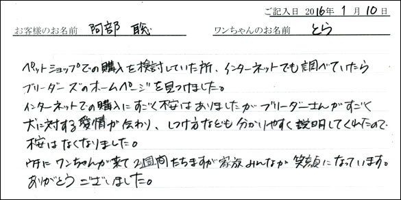 コッカーお客様の声