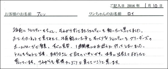 コッカーお客様の声