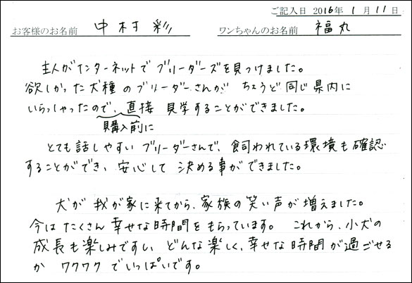 コッカーお客様の声