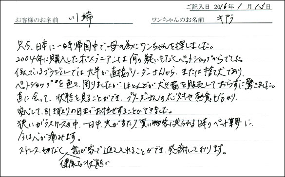 コッカーお客様の声