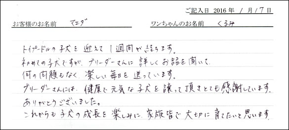 コッカーお客様の声