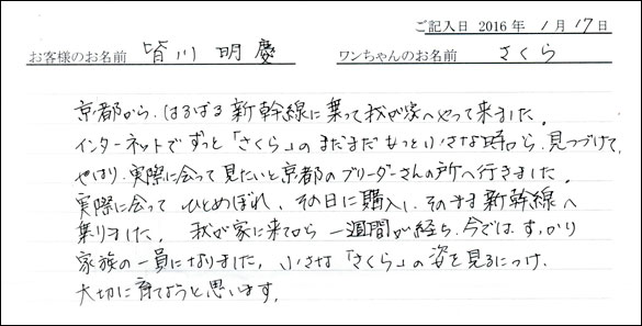 コッカーお客様の声
