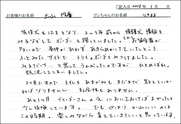 コッカーお客様の声