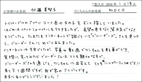 コッカーお客様の声