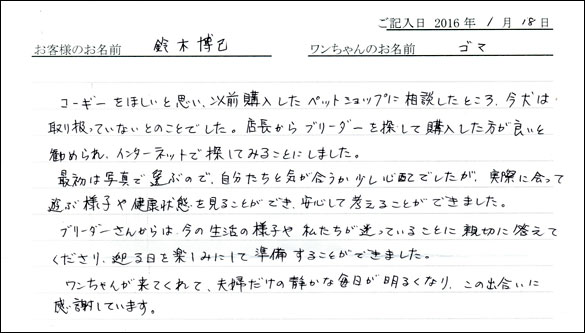 コッカーお客様の声