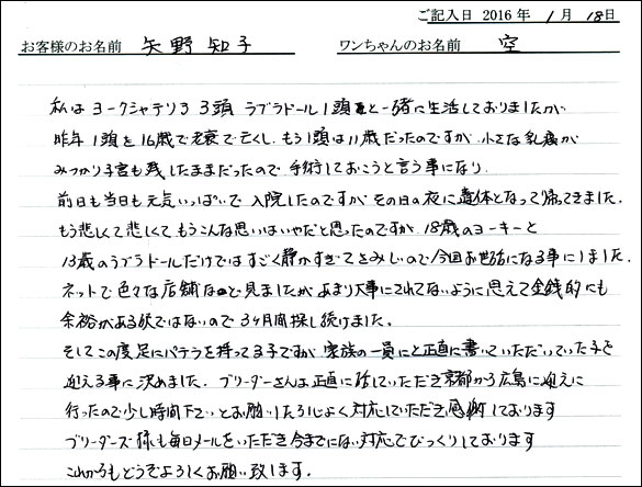 コッカーお客様の声