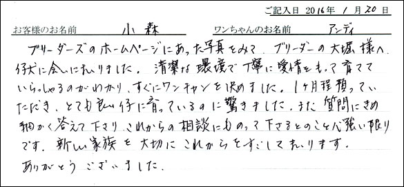 コッカーお客様の声