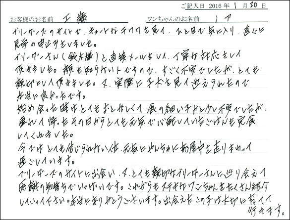 コッカーお客様の声