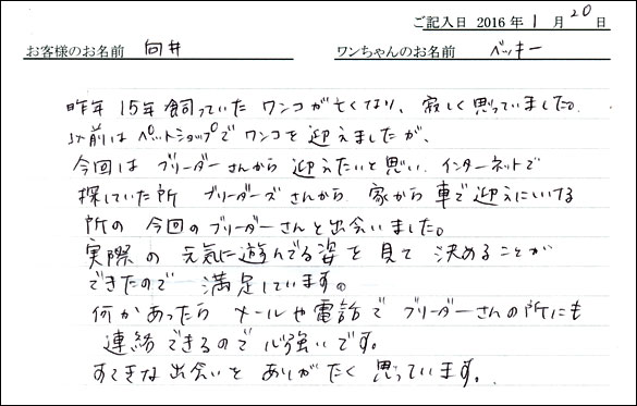 コッカーお客様の声