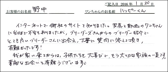 コッカーお客様の声