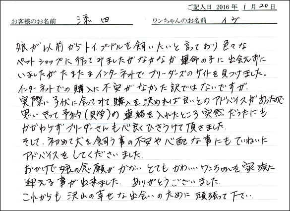 コッカーお客様の声