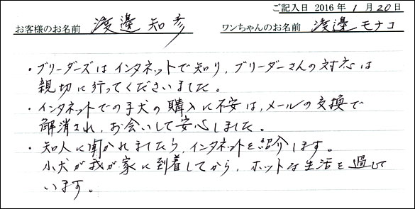 コッカーお客様の声