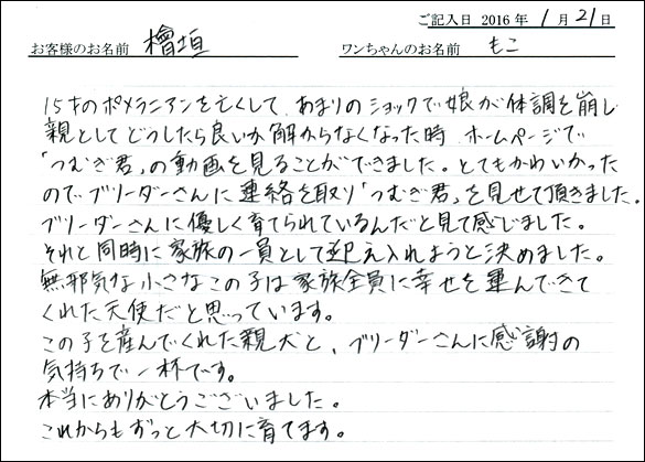 コッカーお客様の声