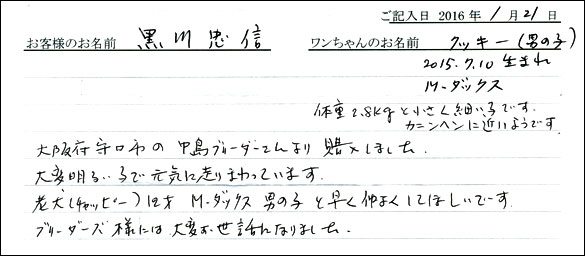 コッカーお客様の声