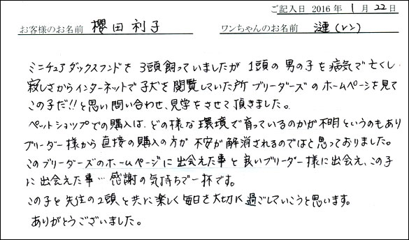 コッカーお客様の声
