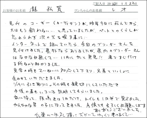 コッカーお客様の声
