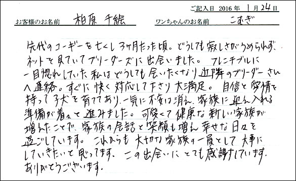 コッカーお客様の声