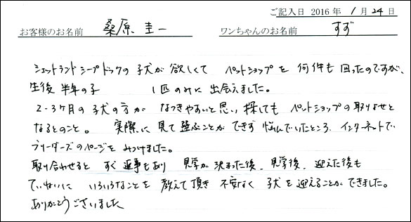コッカーお客様の声