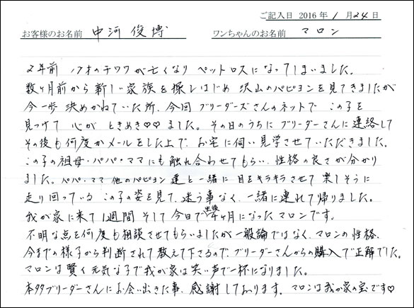 コッカーお客様の声