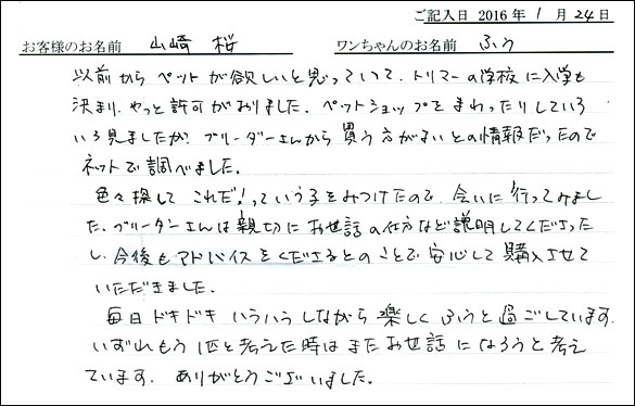 コッカーお客様の声