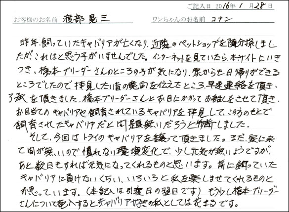 コッカーお客様の声