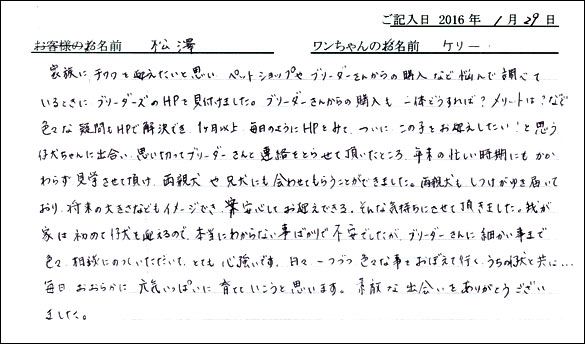 コッカーお客様の声